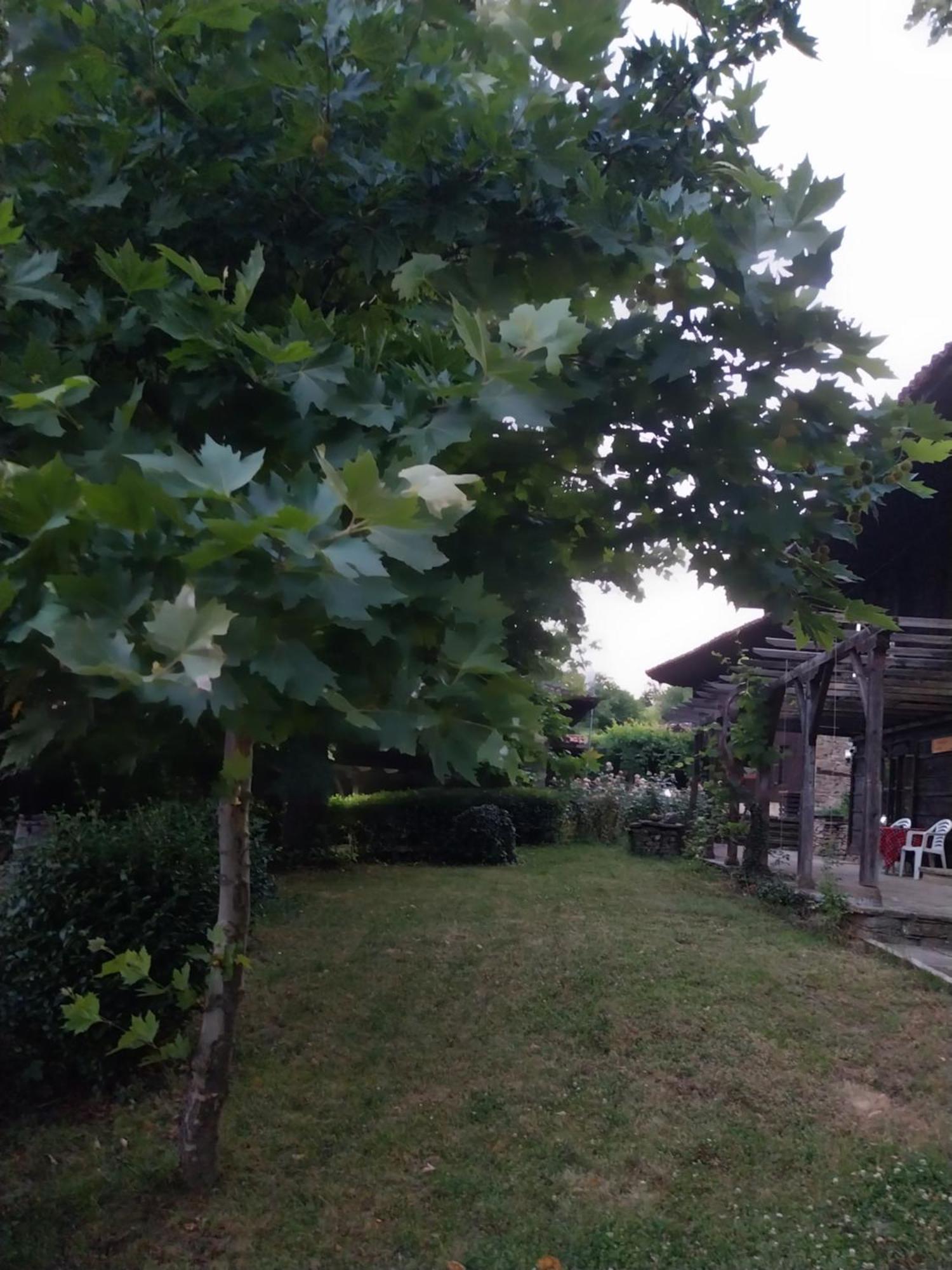 Guest Houses "Zlatna Oresha - Complex" Zheravna Extérieur photo